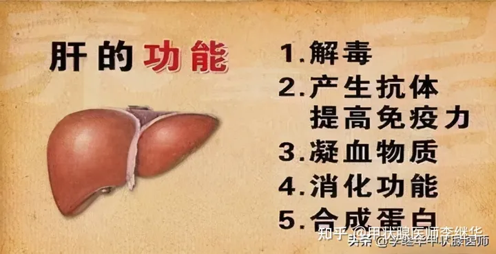 有甲状腺结节，春季养肝很关键，做好这9点促进结节消散(甲状腺结节要怎么饮食)