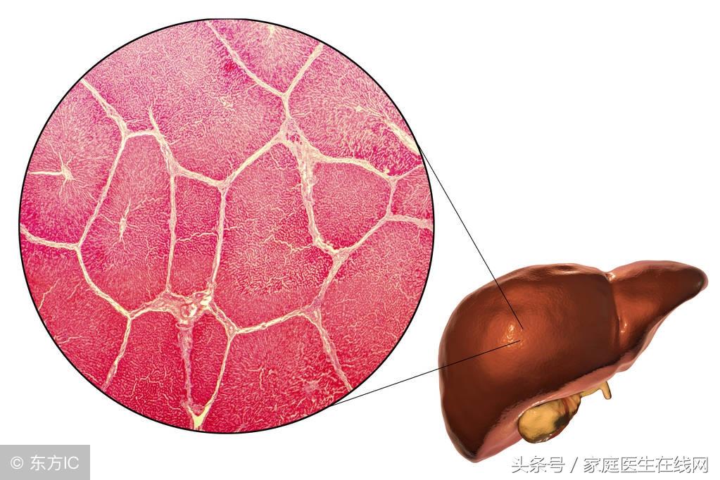 肝脏有这3个“信号灯”，都亮起来的时候，代表肝不太好(肝脏报警的信号30个)