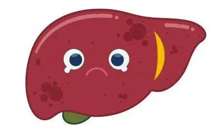 肝结节 吃中药可以消吗？(肝结节吃中药能好吗女性)