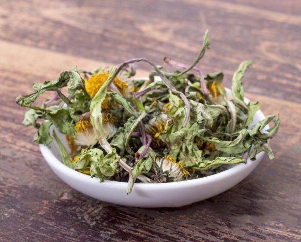 中药又立功？蒲公英可杀死98%癌细胞、消结节？看医生如何说(蒲公英真的可以散结吗百度百科)