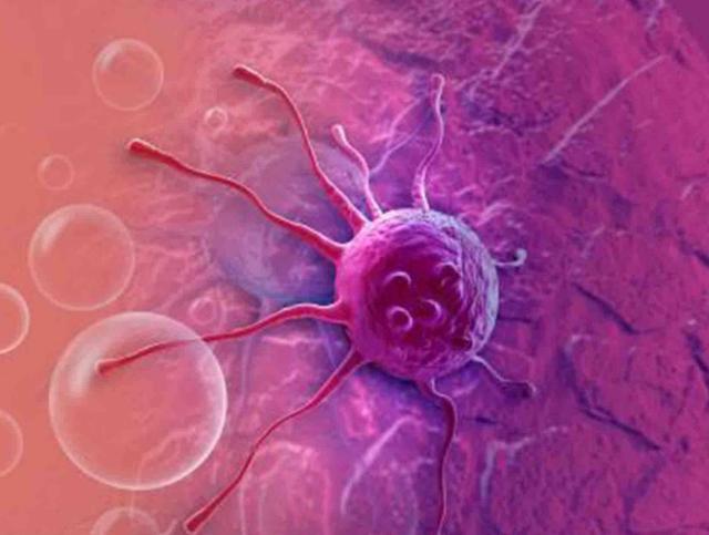 中药又立功？蒲公英可杀死98%癌细胞、消结节？看医生如何说(蒲公英真的可以散结吗百度百科)