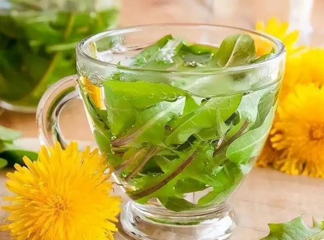 中药又立功？蒲公英可杀死98%癌细胞、消结节？看医生如何说(蒲公英真的可以散结吗百度百科)