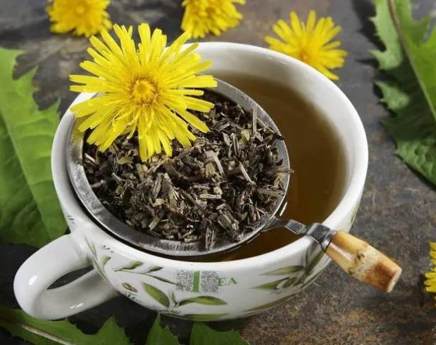 中药又立功？蒲公英可杀死98%癌细胞、消结节？看医生如何说(蒲公英真的可以散结吗百度百科)