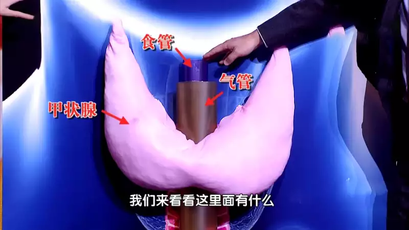 甲状腺疾病最爱盯上这4类人！甲状腺结节这个阶段治疗最佳“挖啊挖”黄老师路人实拍照曝光，失去美颜滤镜后，网友信念崩塌(甲状腺结节治疗方式)