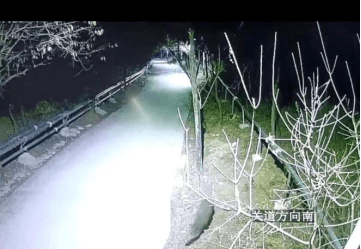 当动物来敲门(小动物敲门图片)