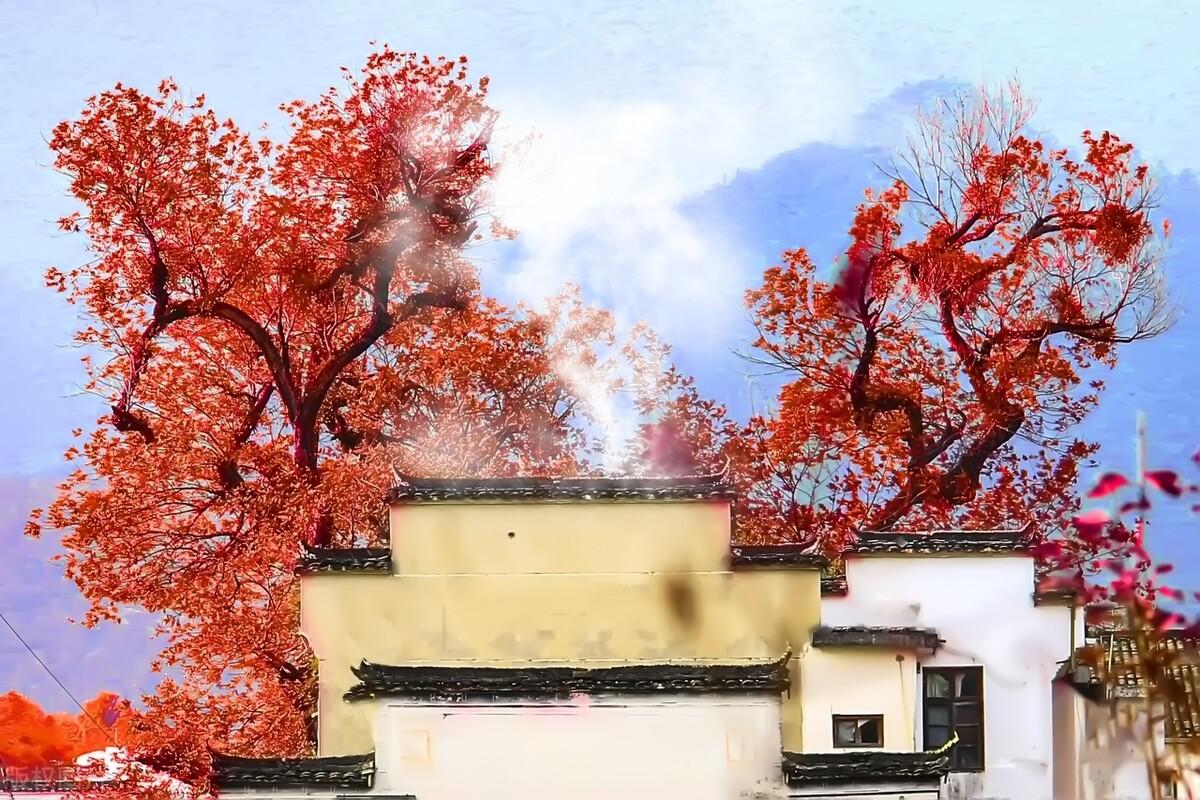 金融机构的定期梳理与周边(金融机构定期存款业务最长期限)