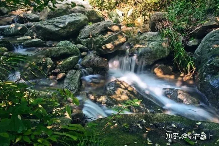 拿走不谢，洛阳老君山最全旅游攻略(洛阳老君山旅游风景区游玩攻略一日游)