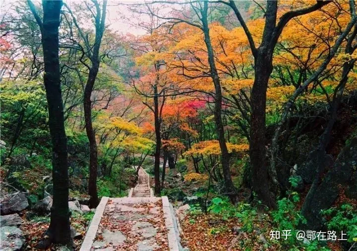 拿走不谢，洛阳老君山最全旅游攻略(洛阳老君山旅游风景区游玩攻略一日游)