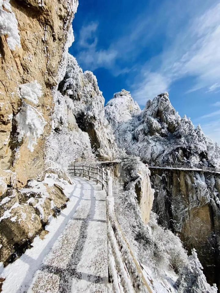 想去洛阳栾川老君山玩一玩，有没有攻略介绍一下，谢谢？(栾川老君山1日游最佳路线)