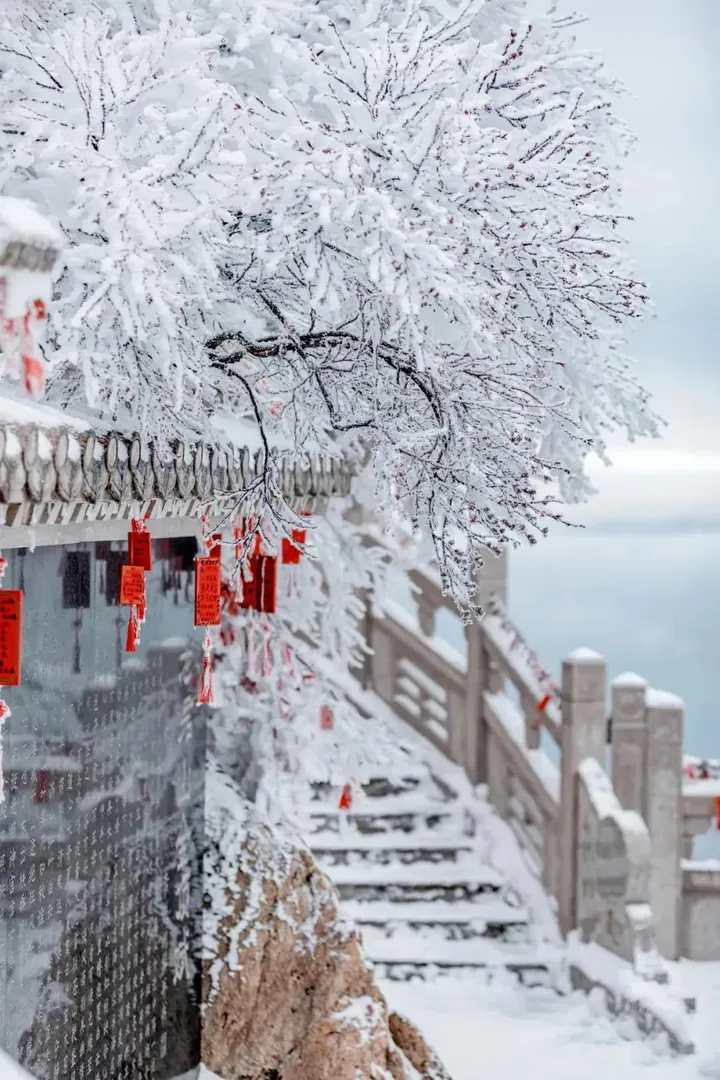 想去洛阳栾川老君山玩一玩，有没有攻略介绍一下，谢谢？(栾川老君山1日游最佳路线)