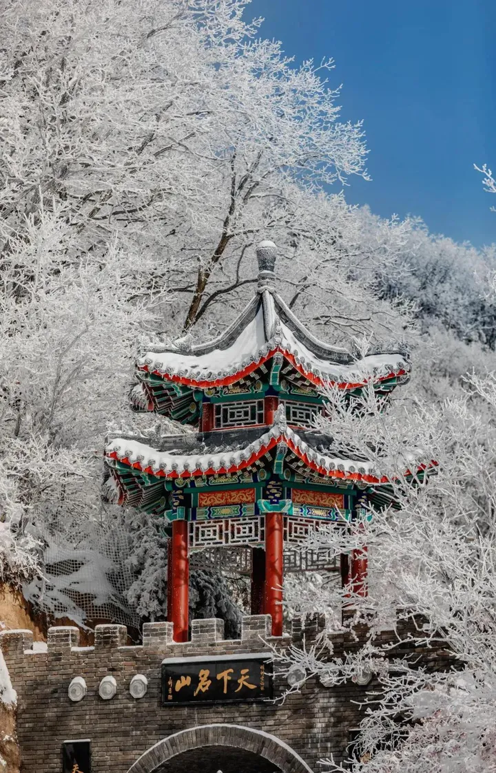 想去洛阳栾川老君山玩一玩，有没有攻略介绍一下，谢谢？(栾川老君山1日游最佳路线)