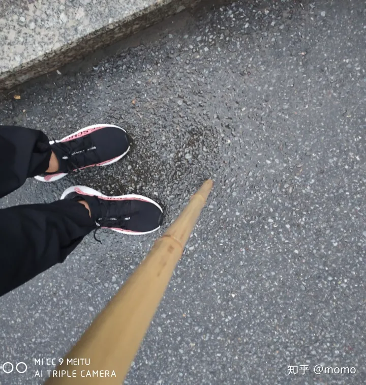 来自爬山小白的老君山攻略(老君山旅游度假区)