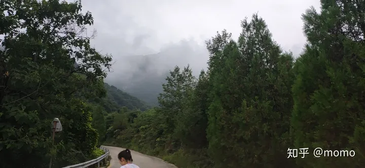 来自爬山小白的老君山攻略(老君山旅游度假区)