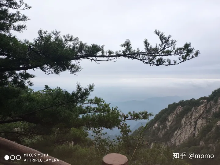 来自爬山小白的老君山攻略(老君山旅游度假区)