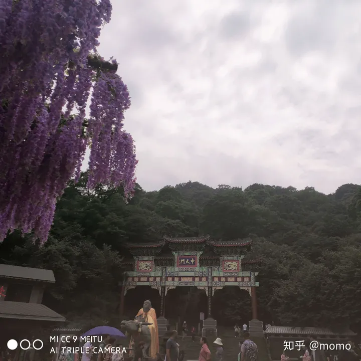 来自爬山小白的老君山攻略(老君山旅游度假区)