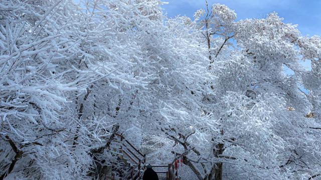 冬季老君山游玩攻略及注意事项(老君山的最佳游玩时间)