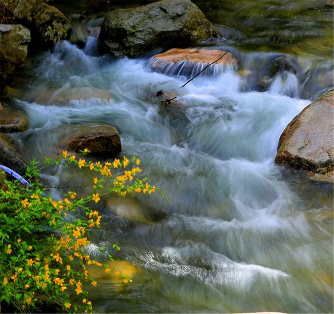 五一将至！快来查收这份老君山旅游攻略！(老君山旅游度假区图片大全)