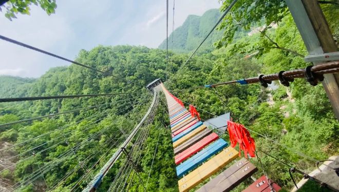 五一将至！快来查收这份老君山旅游攻略！(老君山旅游度假区图片大全)
