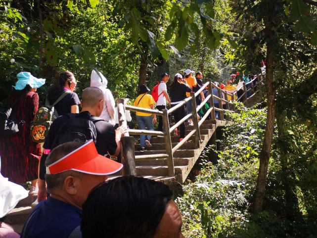 值得借鉴：从老君山旅游爆棚，预想今年十一黄金周旅游攻略(2021年10月老君山门票免费吗)