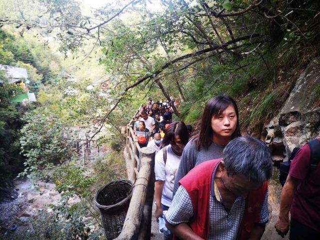 值得借鉴：从老君山旅游爆棚，预想今年十一黄金周旅游攻略(2021年10月老君山门票免费吗)