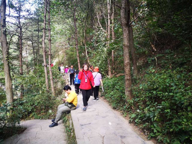 值得借鉴：从老君山旅游爆棚，预想今年十一黄金周旅游攻略(2021年10月老君山门票免费吗)