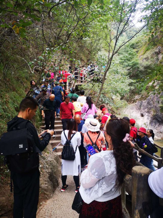 值得借鉴：从老君山旅游爆棚，预想今年十一黄金周旅游攻略(2021年10月老君山门票免费吗)