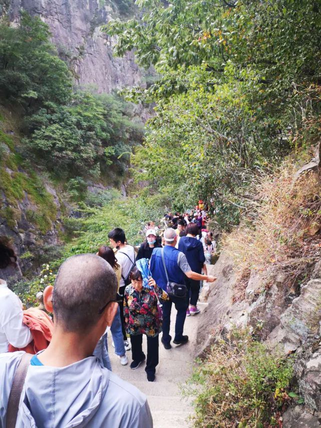 值得借鉴：从老君山旅游爆棚，预想今年十一黄金周旅游攻略(2021年10月老君山门票免费吗)