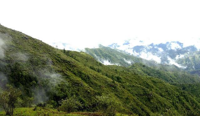 云南丽江旅游攻略: 老君山风景区介绍(云南丽江旅游攻略自由行)