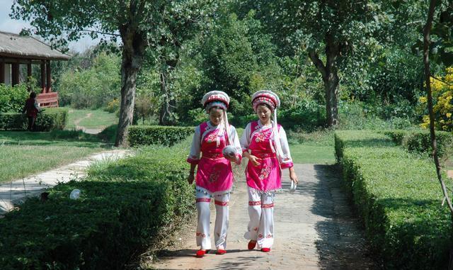 云南丽江旅游攻略: 老君山风景区介绍(云南丽江旅游攻略自由行)