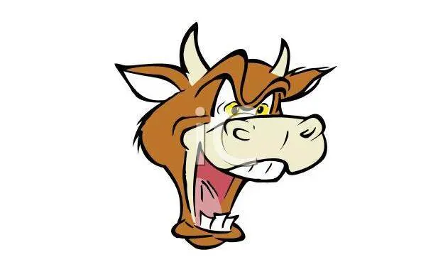 基金发疯啦！爆款首募逼近2000亿！力量远大于2007大牛市（2021首发基金）