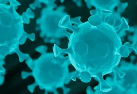 我们为什么不再继续“动态清零”？背后有四个原因(为什么不可以看国外网站)