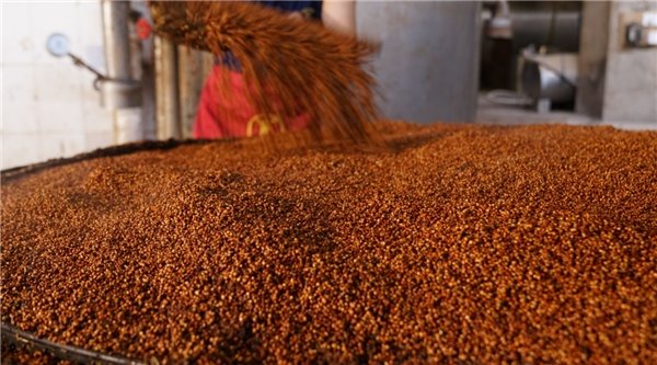 金樽吟属于什么档次的酒？(金樽吟是什么酒)