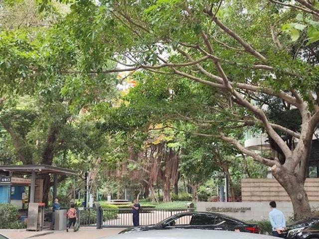 深圳一豪宅花园塌陷掉进地下停车场，专业人士：事故原因可从四个方面调查（深圳房子倒塌事件大姐笑了）