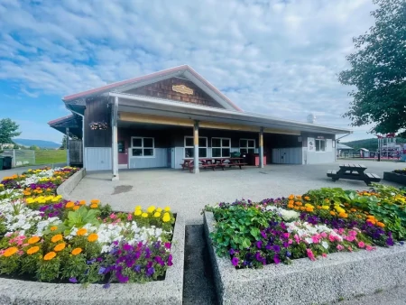 我，雅思5分，无工作经验要求，一次培训，三重移民保障！(雅思5分可以到英国留学吗)