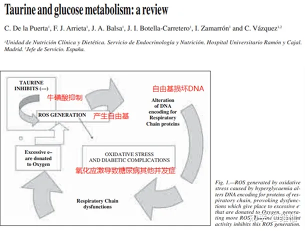 牛磺酸的健康益处有哪些，牛磺酸主要存在于哪些植物性食物里？（搜索一下牛磺酸）