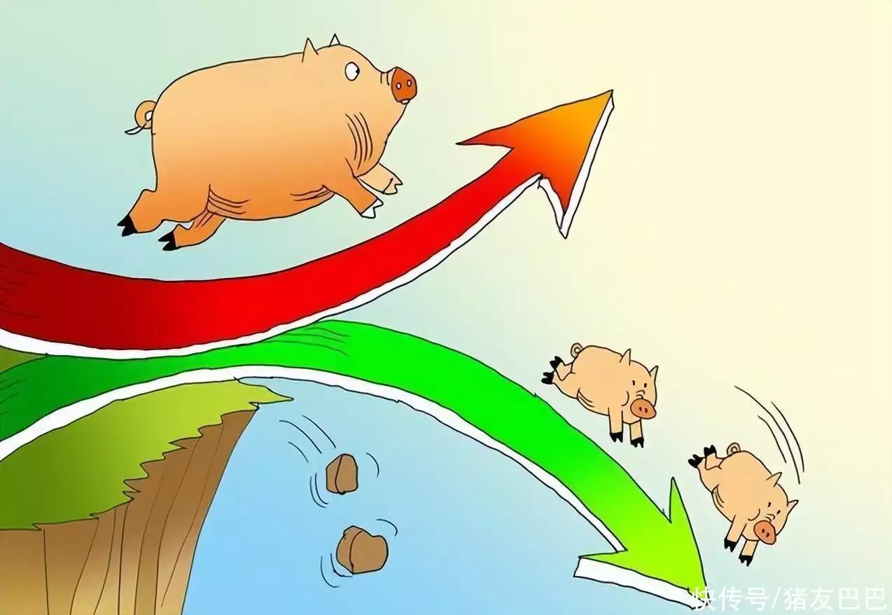 油价“大跌预警”！5月17日，调价后92及95号汽油，生猪价格！