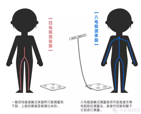 云康宝八电极体脂秤CS10A上手体验怎么样？1996年，17岁章子怡穿着白色肚兜的照片，脸上带着少女的娇憨(云康宝八电极的测评准确度)