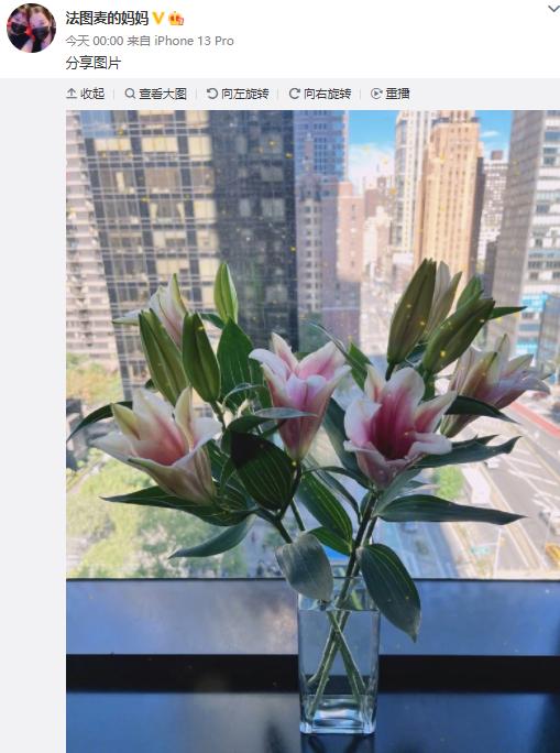 李咏离世近四年，哈文晒鲜花照纪念结婚30周年，回应当下生活状态（李咏妻子哈文的个人资料）