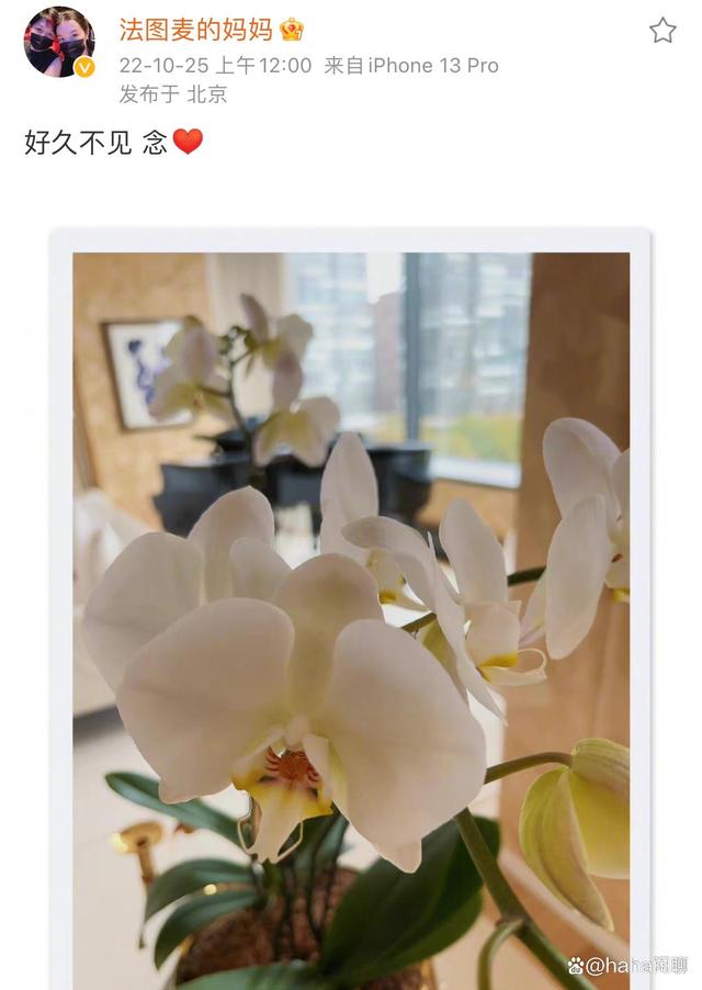 李咏逝世4周年，哈文回国，零点发文悼念！他们的爱情让人泪目！（李咏对哈文说的一段话）