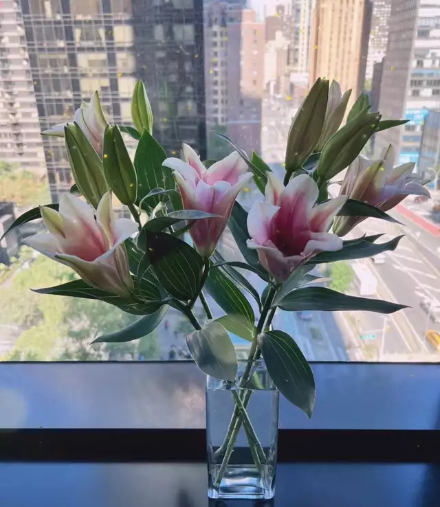 李咏妻子晒照纪念结婚30周年！与女儿定居美国，网友劝其再找他人那个高考故意考0分，写8000字抨击高考制度的蒋多多，现在怎样？（李咏和妻子）