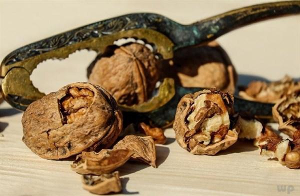 常见坚果热量科普！吃货们特别要注意(各类坚果的热量表)