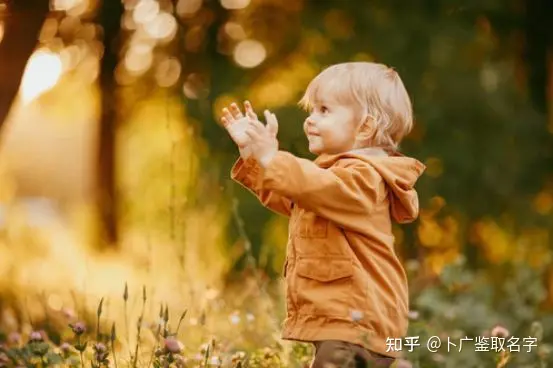 周易取名 虎年出生的宝宝起名：独特新颖且富贵的男孩名字(虎年生的男孩名字大全)