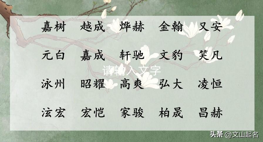 阳光开朗，响亮大气的男孩名(阳光开朗大胆男孩名字)