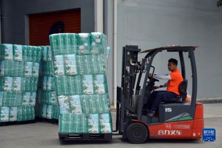 惠企帮扶 实招纾困——福建泉州企业复工复产见闻（创意美术大螃蟹）