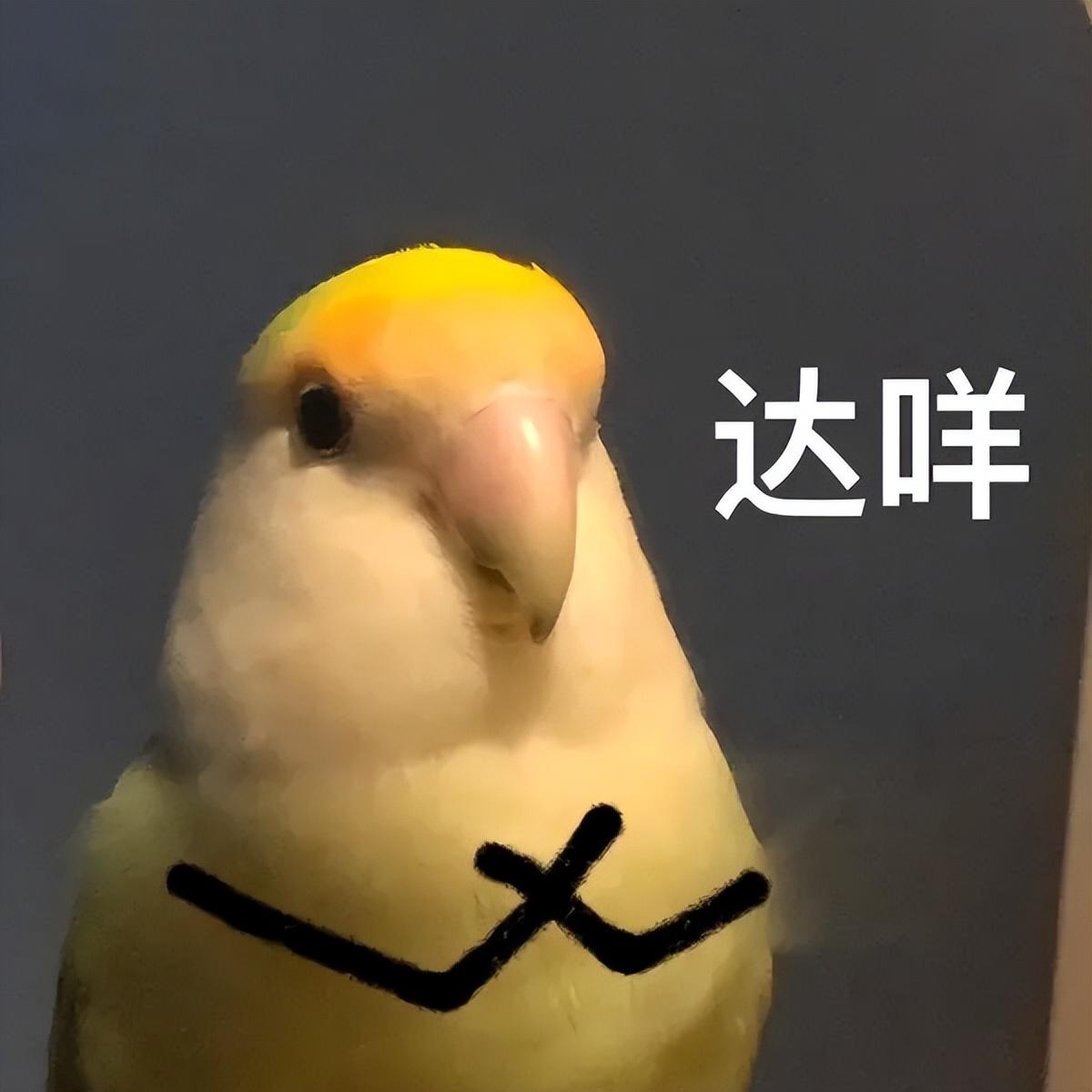 达咩！跟“emo”说拜拜！(达咩是哪里的话)