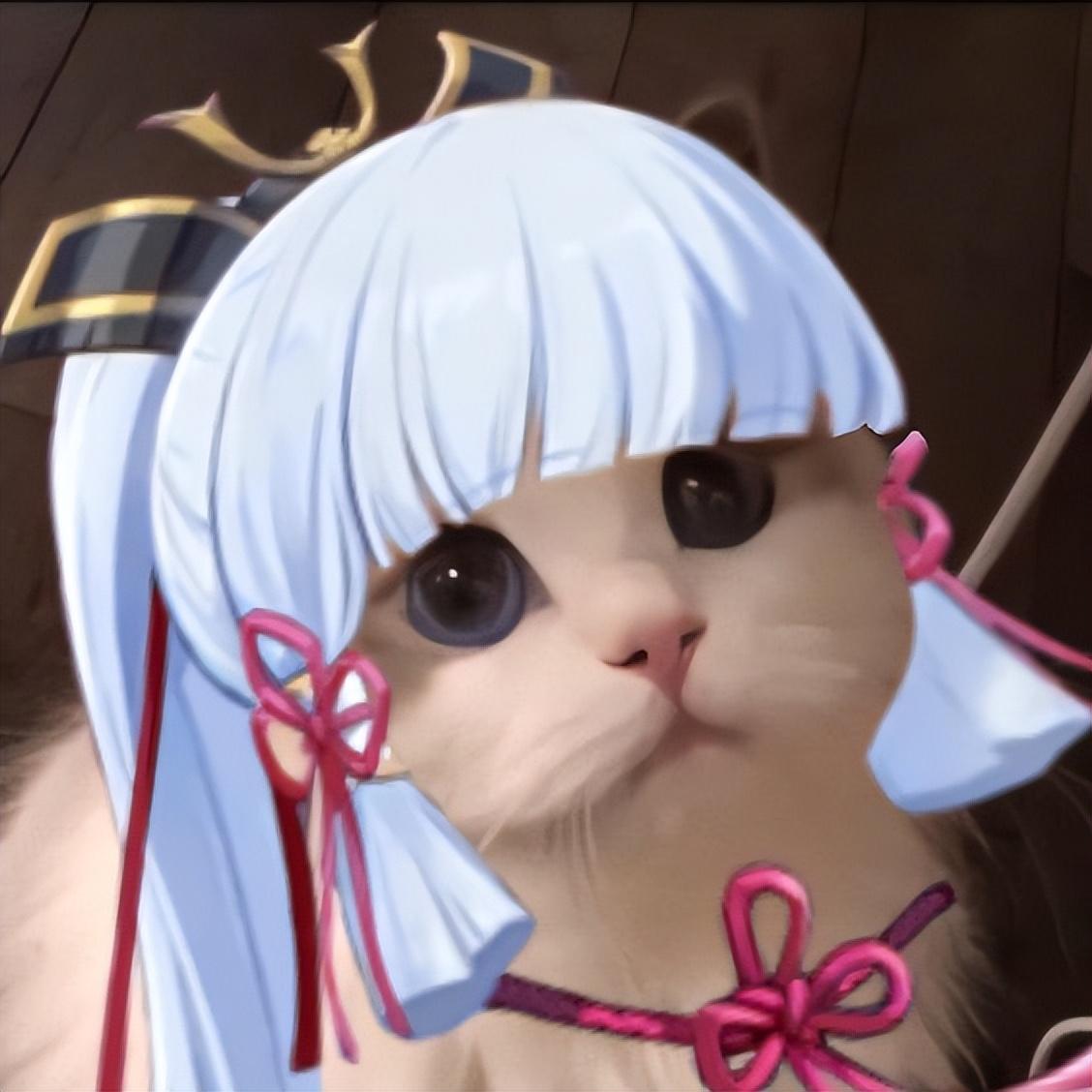 原神头像丨神里绫华我爱你，不要离开我，达咩(神里绫华情侣头像)