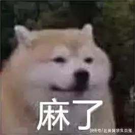 英美留学人数全面反弹，拒信却满天飞(英国留学被拒签怎么办)