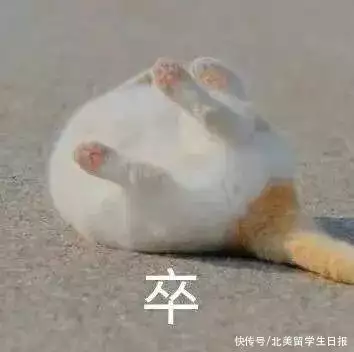 英美留学人数全面反弹，拒信却满天飞(英国留学被拒签怎么办)