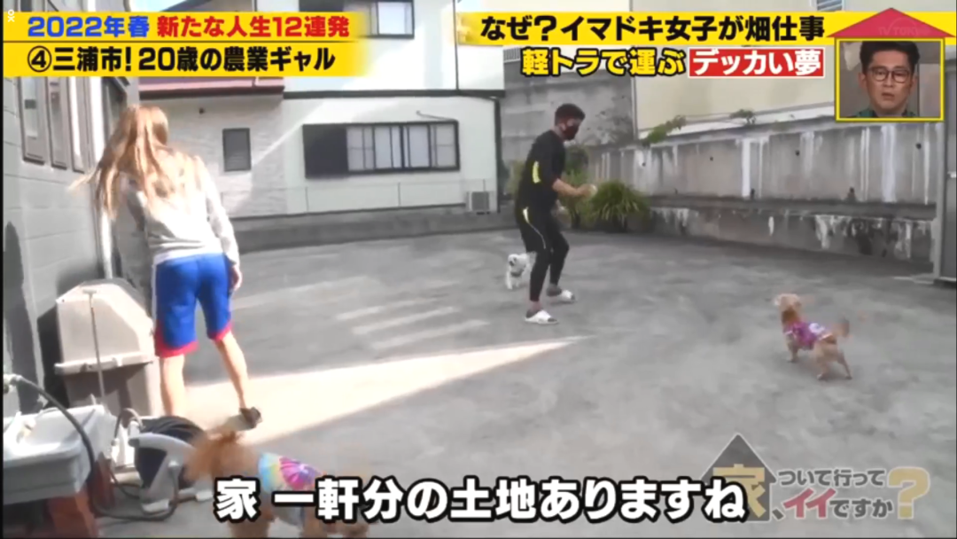 当农民的20岁辣妹 工作8小时收入居然有……(看到农民收获的感悟)