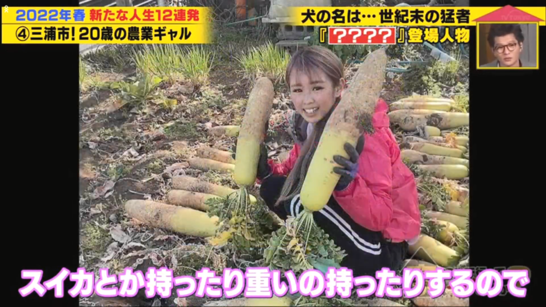 当农民的20岁辣妹 工作8小时收入居然有……(看到农民收获的感悟)